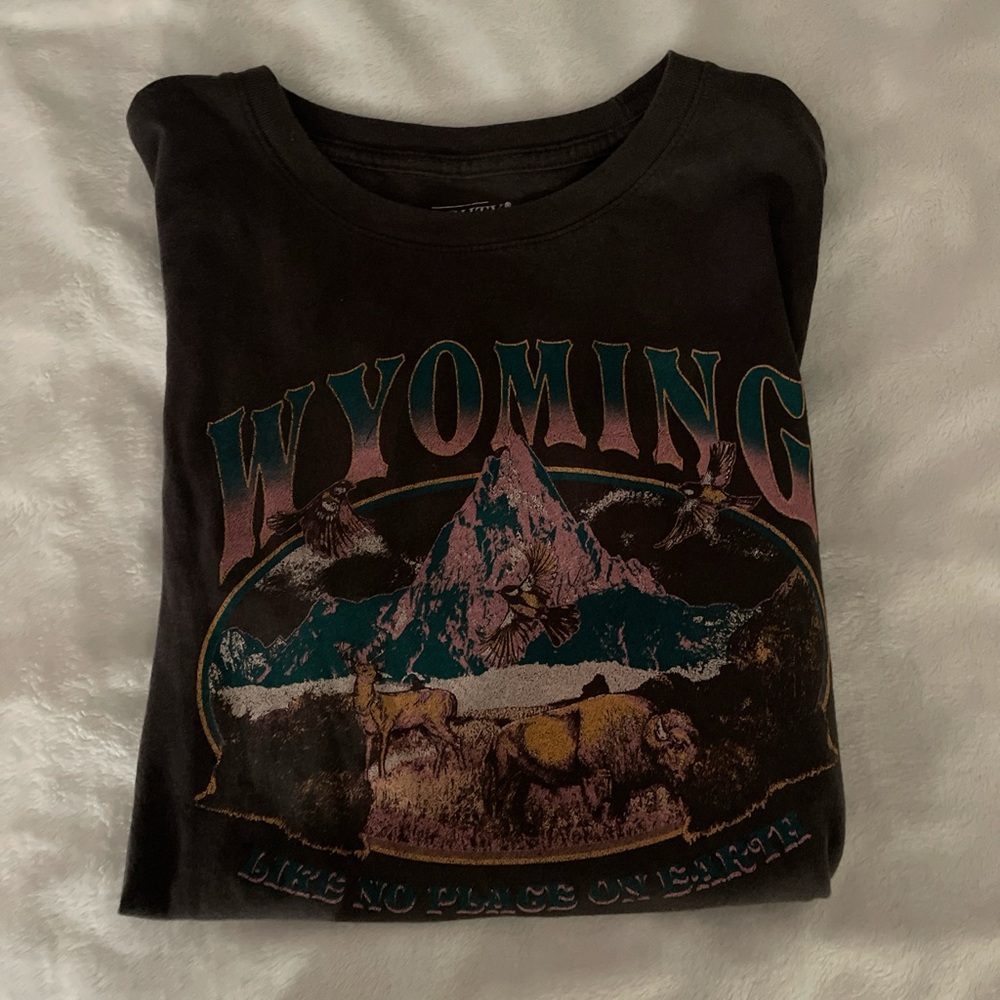 Gray Wyoming Graphic T-Shirt